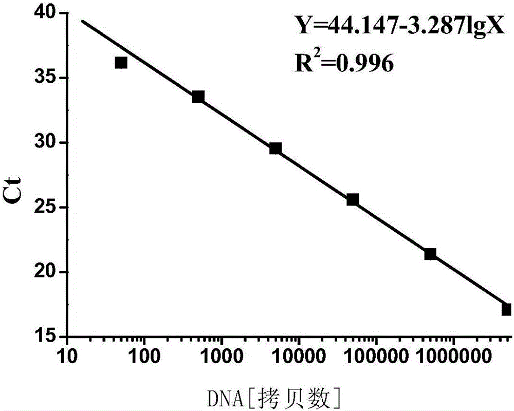 Polynucleotide, method and kit used for detecting transgenic crops