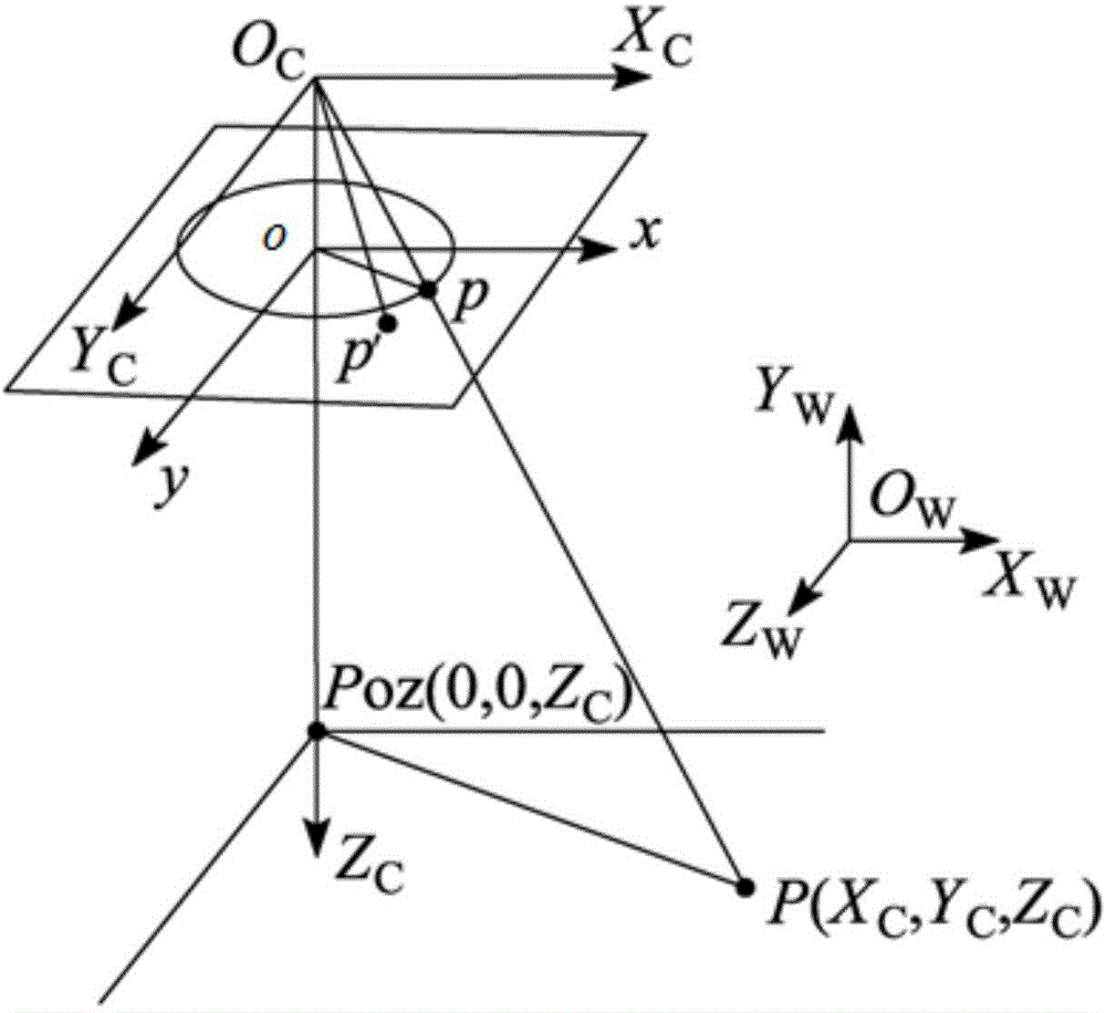 Camera distortion calibration method on basis of multiple constraints