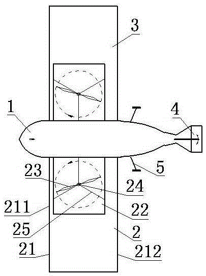 Aircraft with skylight on wing