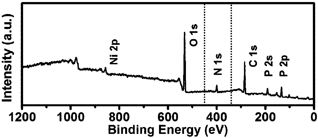 Nitrogen-doped nickel metaphosphate nano-particle as well as preparation method thereof and application thereof