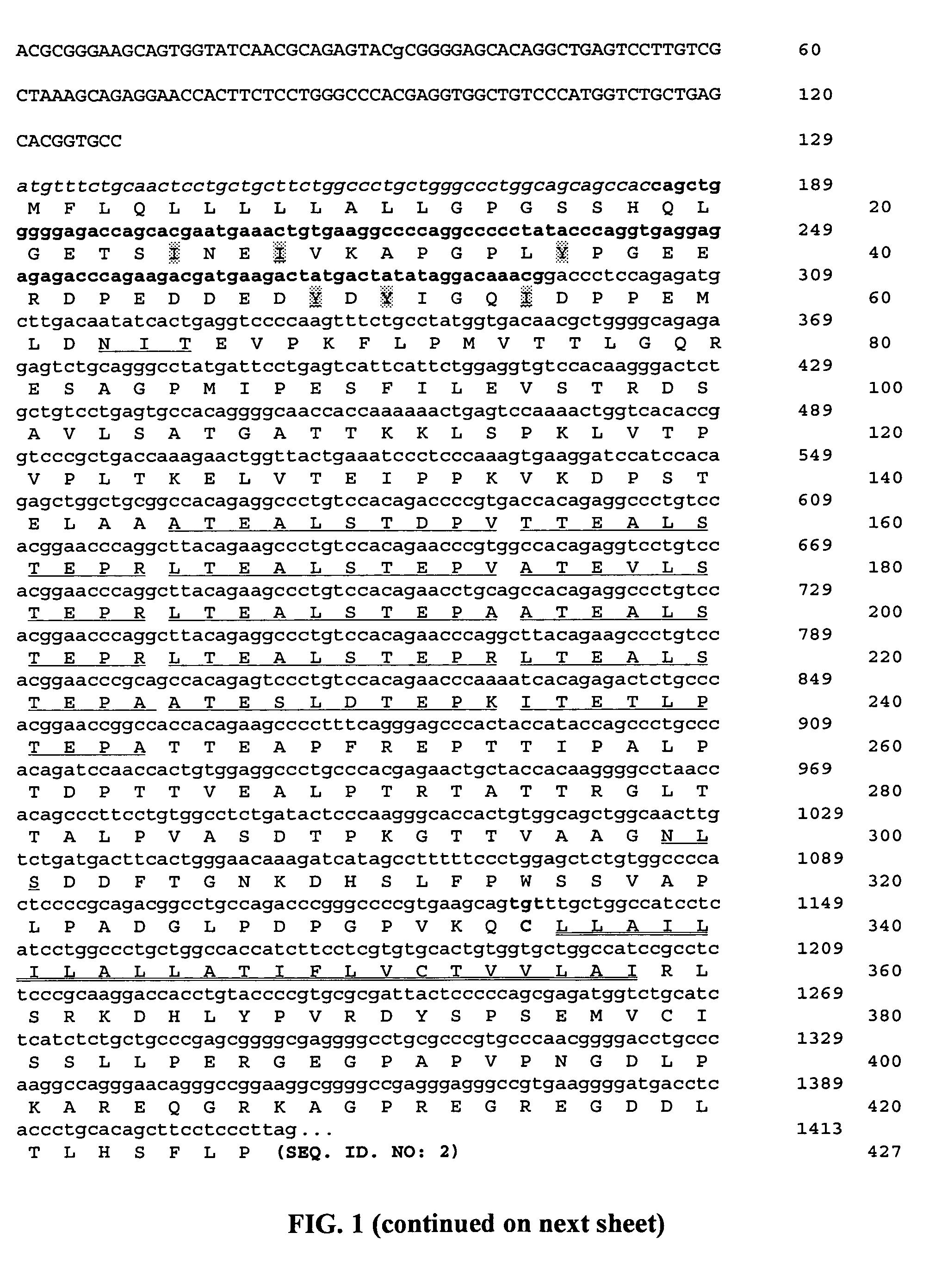 Bovine P-selectin glycorpotein ligand-1