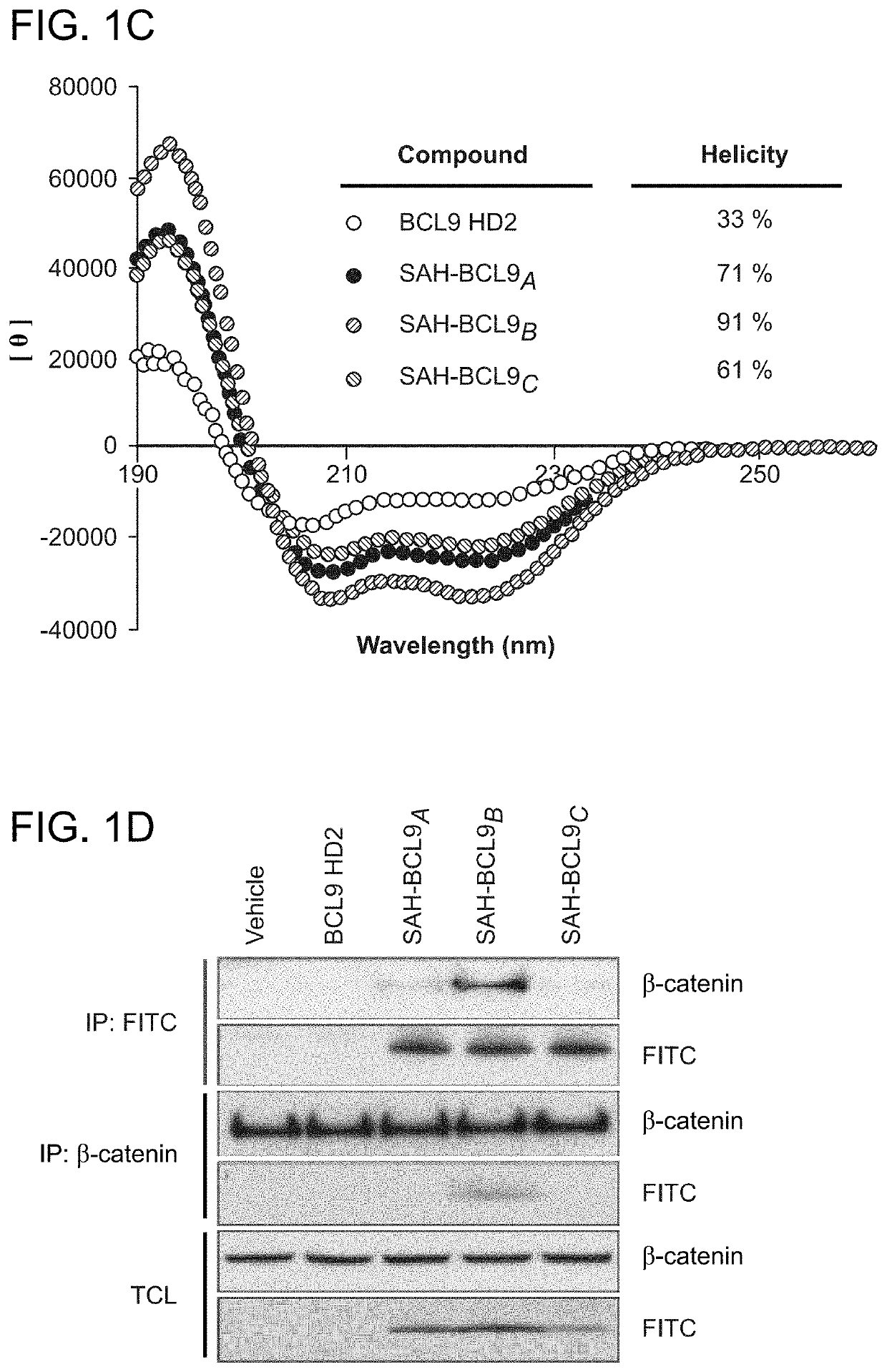 Targeting deregulated Wnt signaling in cancer using stabilized alpha-helices of BCL-9