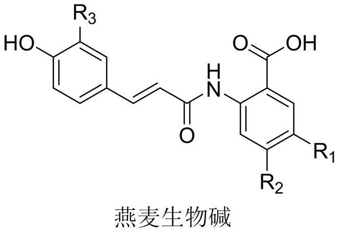 Preparation method of dihydrooat alkaloid