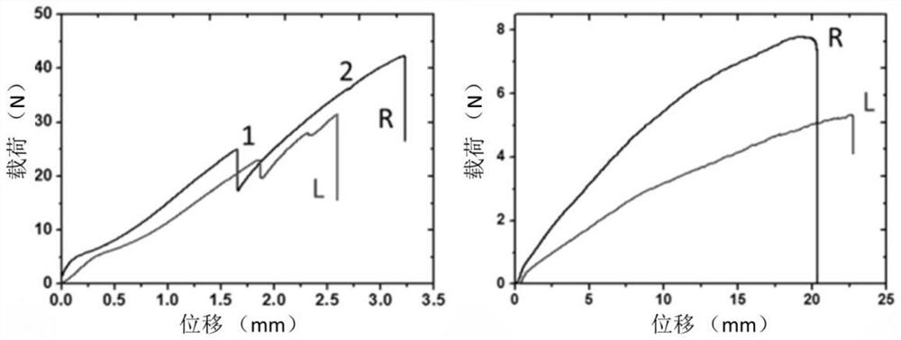 A kind of anisotropic twisted fiber bundle and its preparation method and application