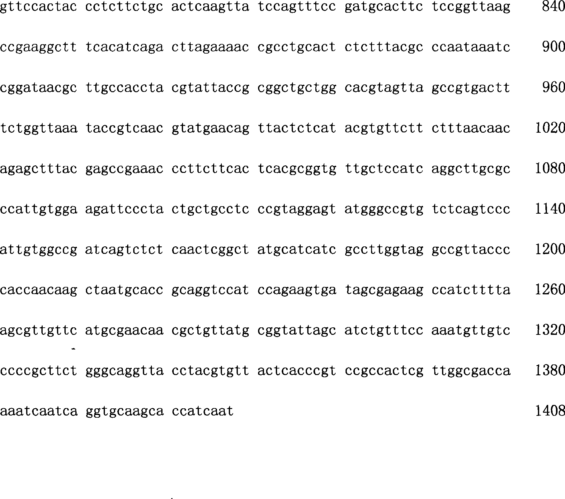 Lactobacilus fermentum and method for preparing D-tagatose by utilizing Lactobacilus fermentum