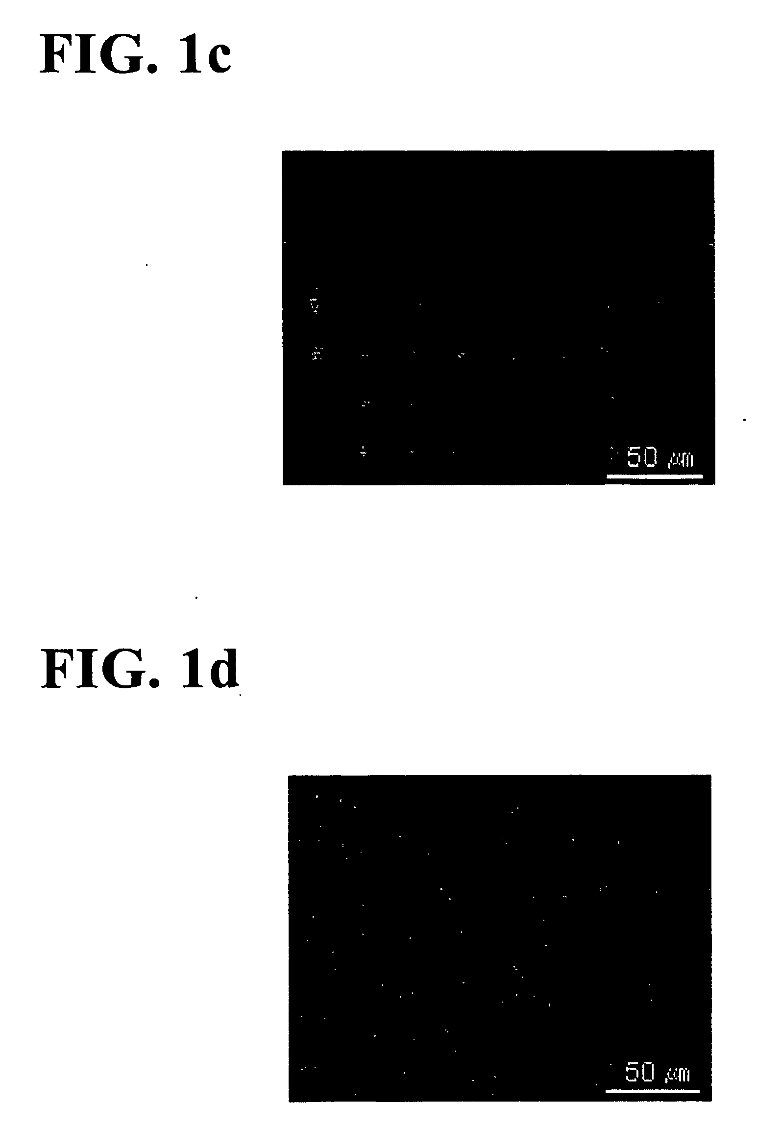 Composite polymeric electrolyte membrane, preparation method thereof