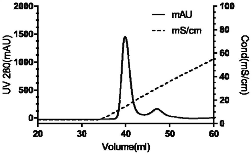 Application of oridonin and/or prodrug thereof in preparation of medicine for inhibiting SARS-CoV-2