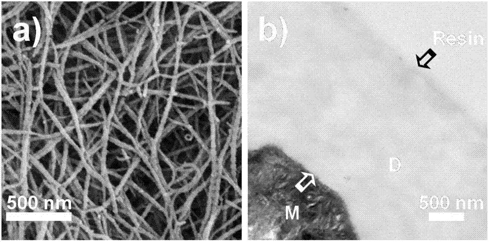 Method for repairing demineralized dentin