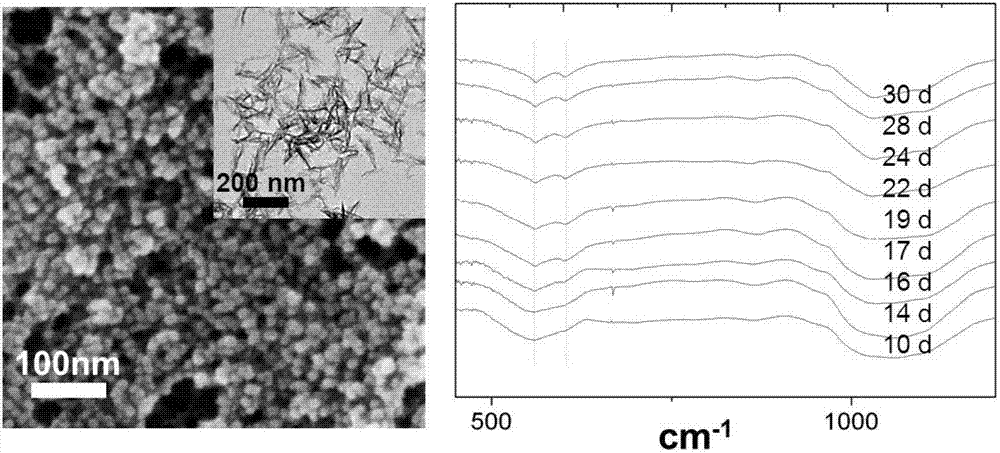 Method for repairing demineralized dentin