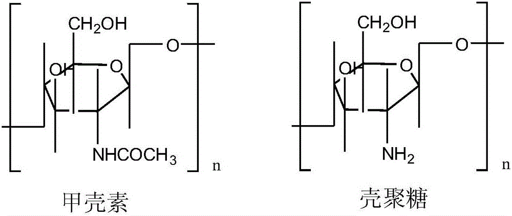 Chitosan-quaternary-ammonium-salt antibacterial agent and antibacterial liquid, preparing technology of chitosan-quaternary-ammonium-salt antibacterial agent and preparing technology of chitosan-quaternary-ammonium-salt antibacterial liquid