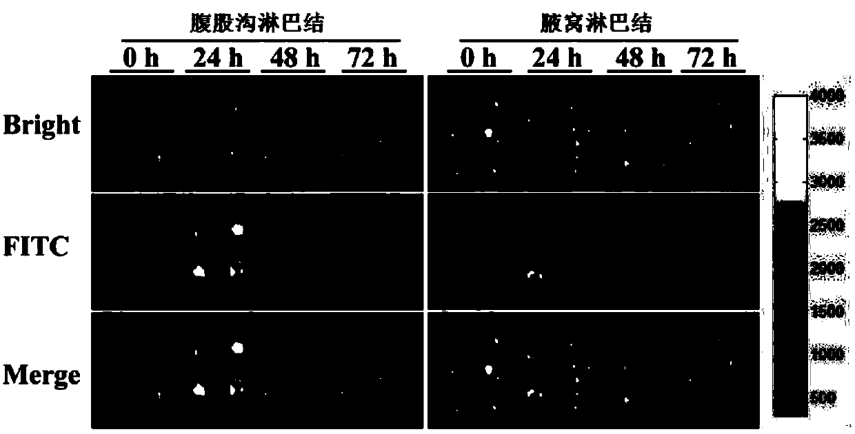 Application of bee venom lipid nanoparticles