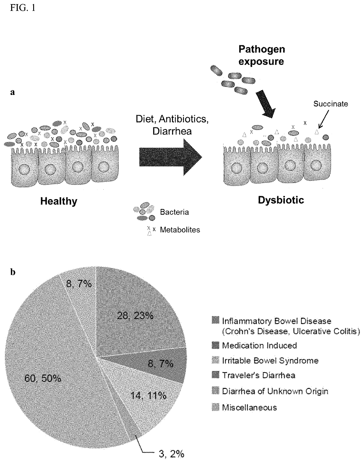 Methods and materials for using biomarkers which predict susceptibility to clostridium difficile infection