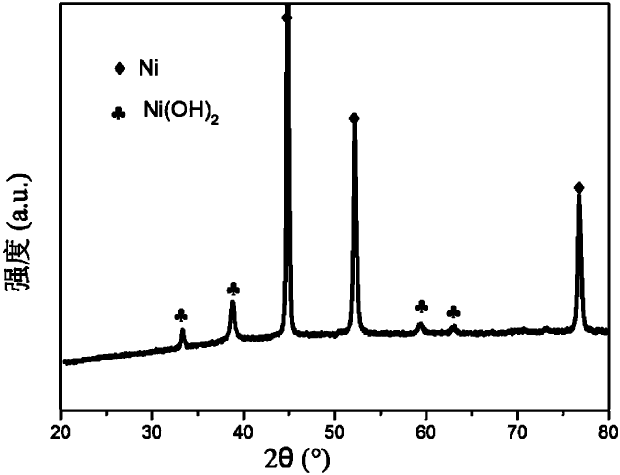 Self-supporting nickel phosphide catalyst and preparation method and application thereof