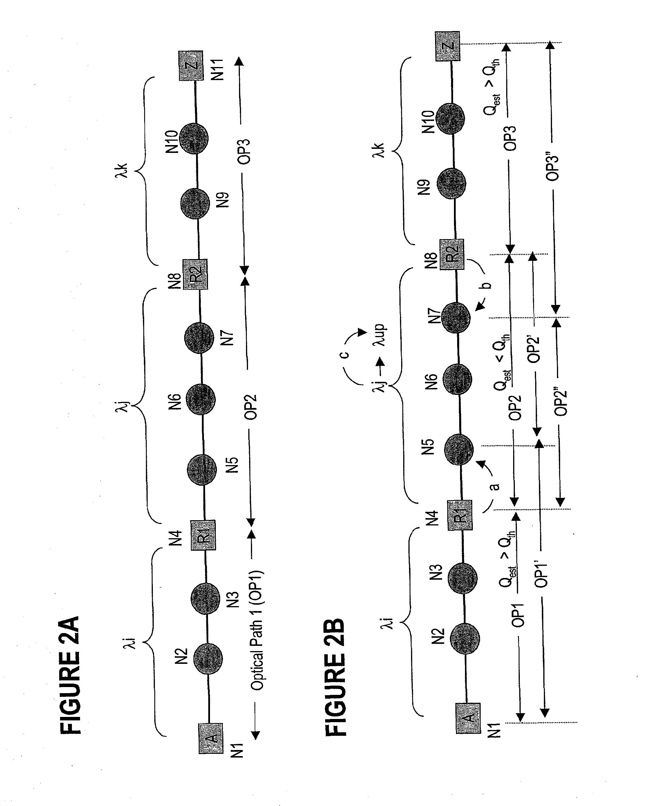 Dynamic Assignment Of Wavelengths In Agile Photonic Networks