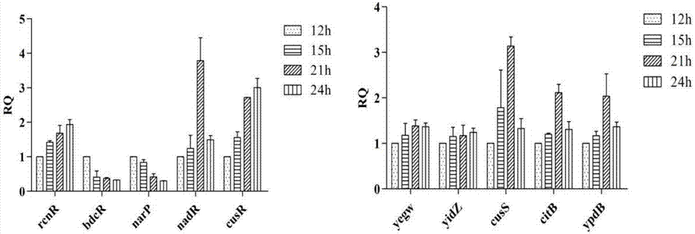 Biosensor capable of responding to 3-dehydroshikimic acid and application of biosensor