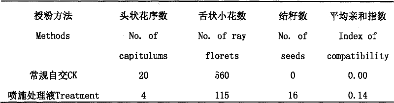 Method for improving self-compatibility of chrysanthemum