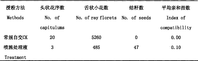 Method for improving self-compatibility of chrysanthemum