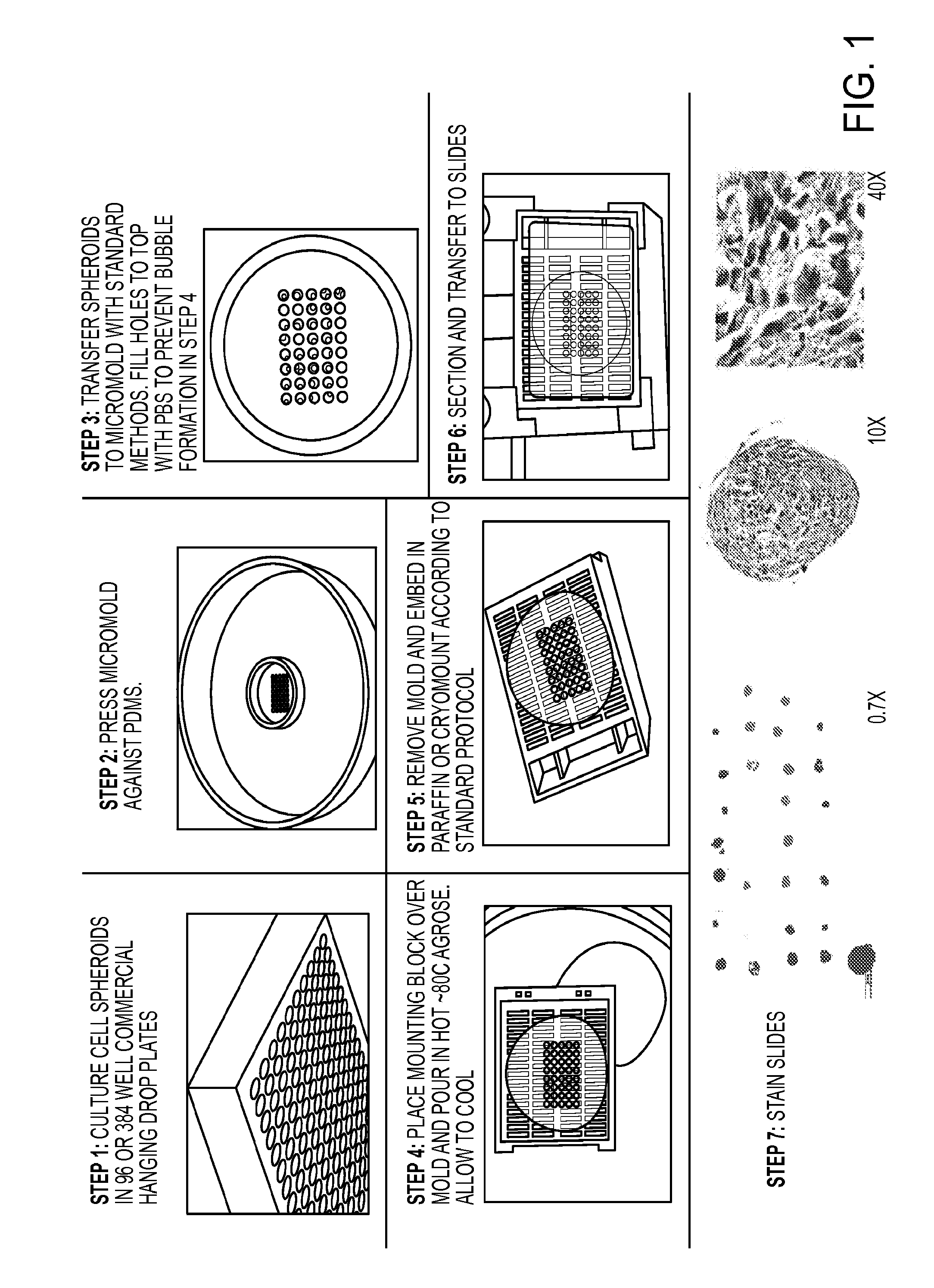 Tissue array for cell spheroids and methods of use