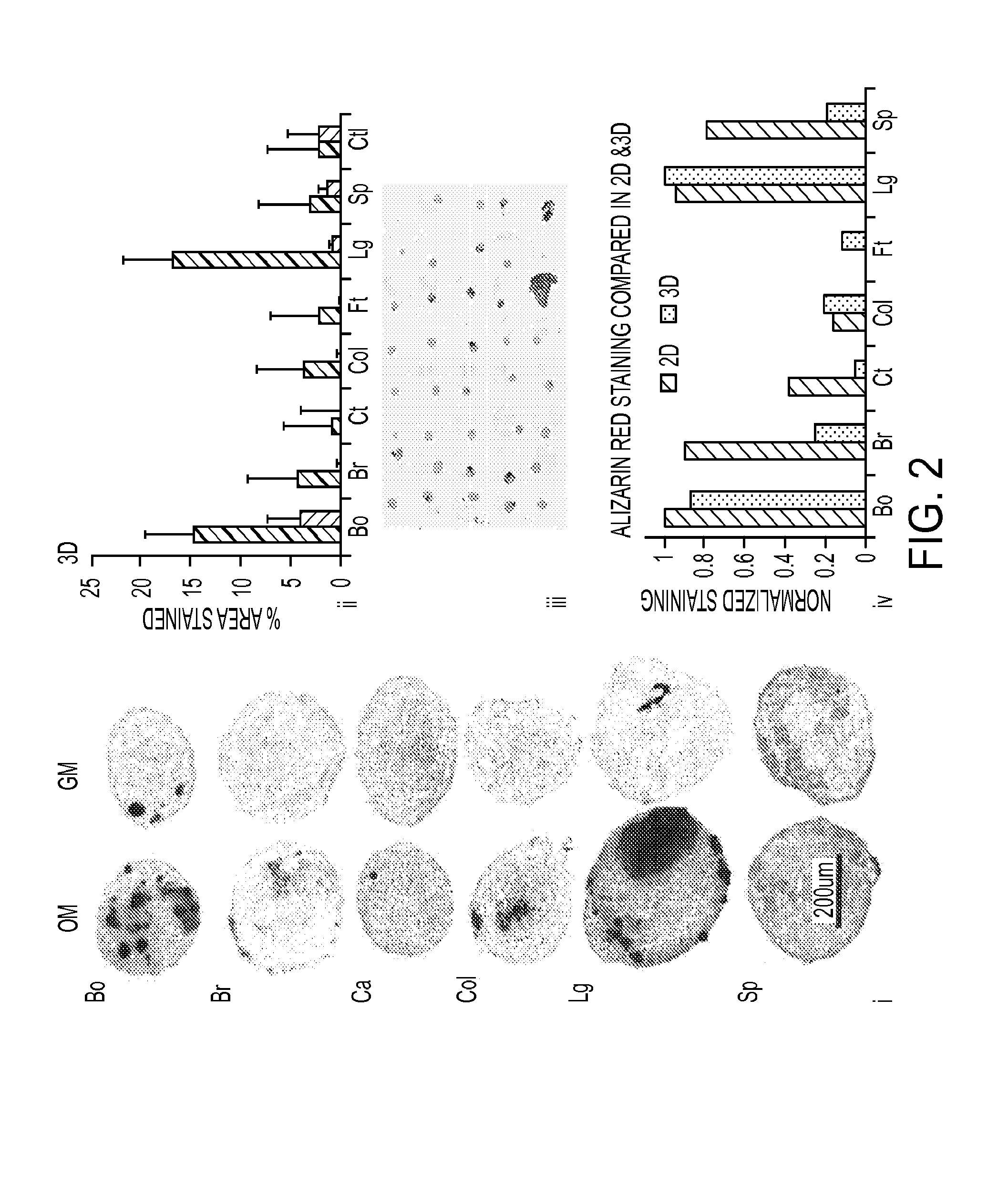 Tissue array for cell spheroids and methods of use