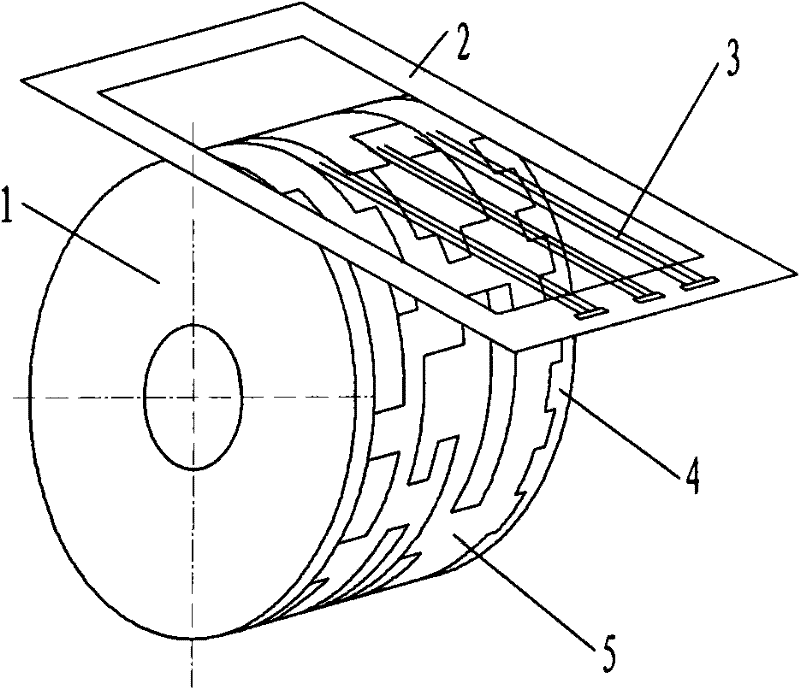 Contact type absolute encoder signal collection apparatus and its production method