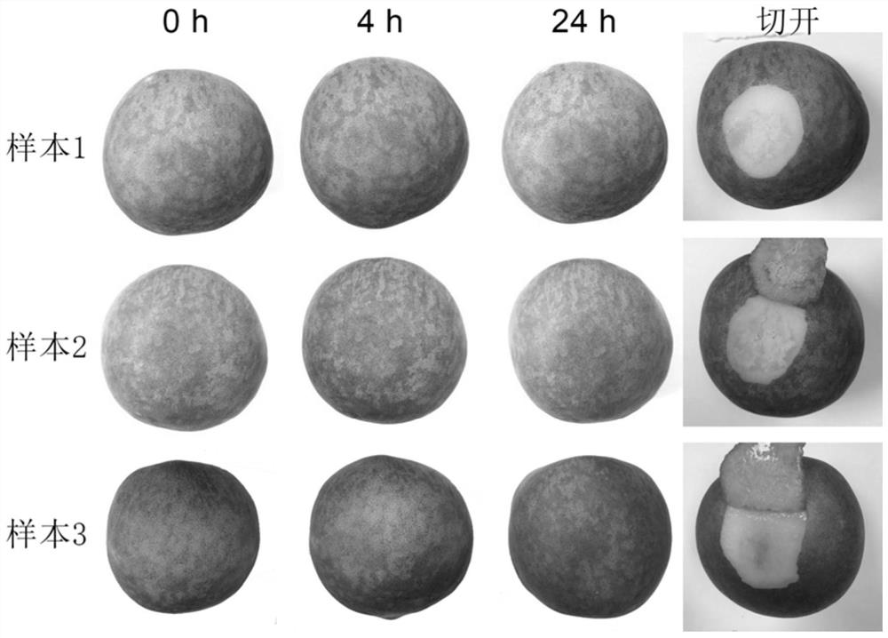 Fruit defect detection method based on structured hyperspectral system