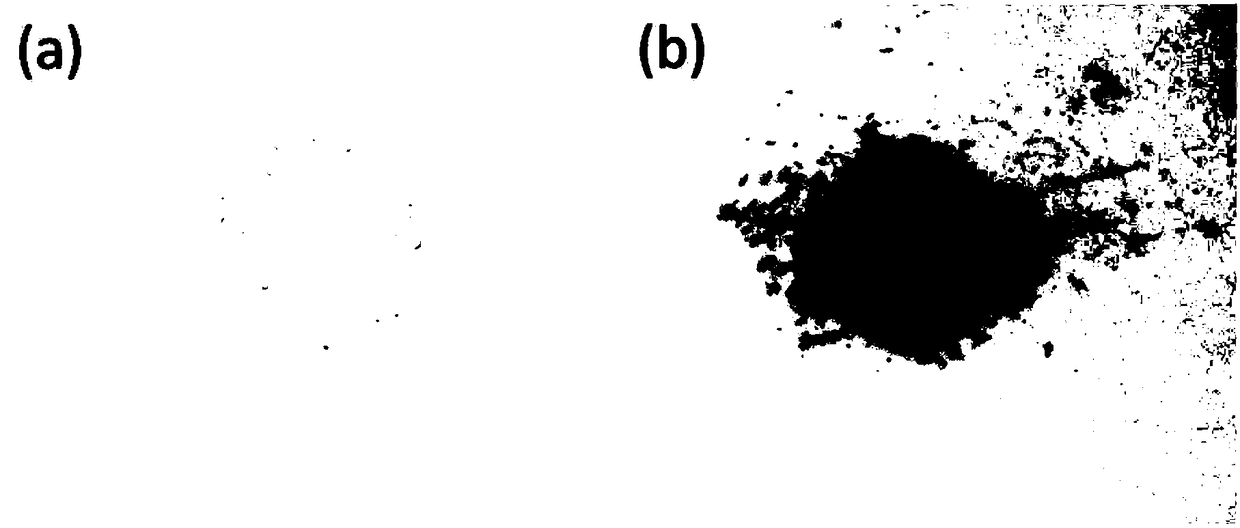 PEDOT-coated lithium titanate nano particles preparation method and application thereof