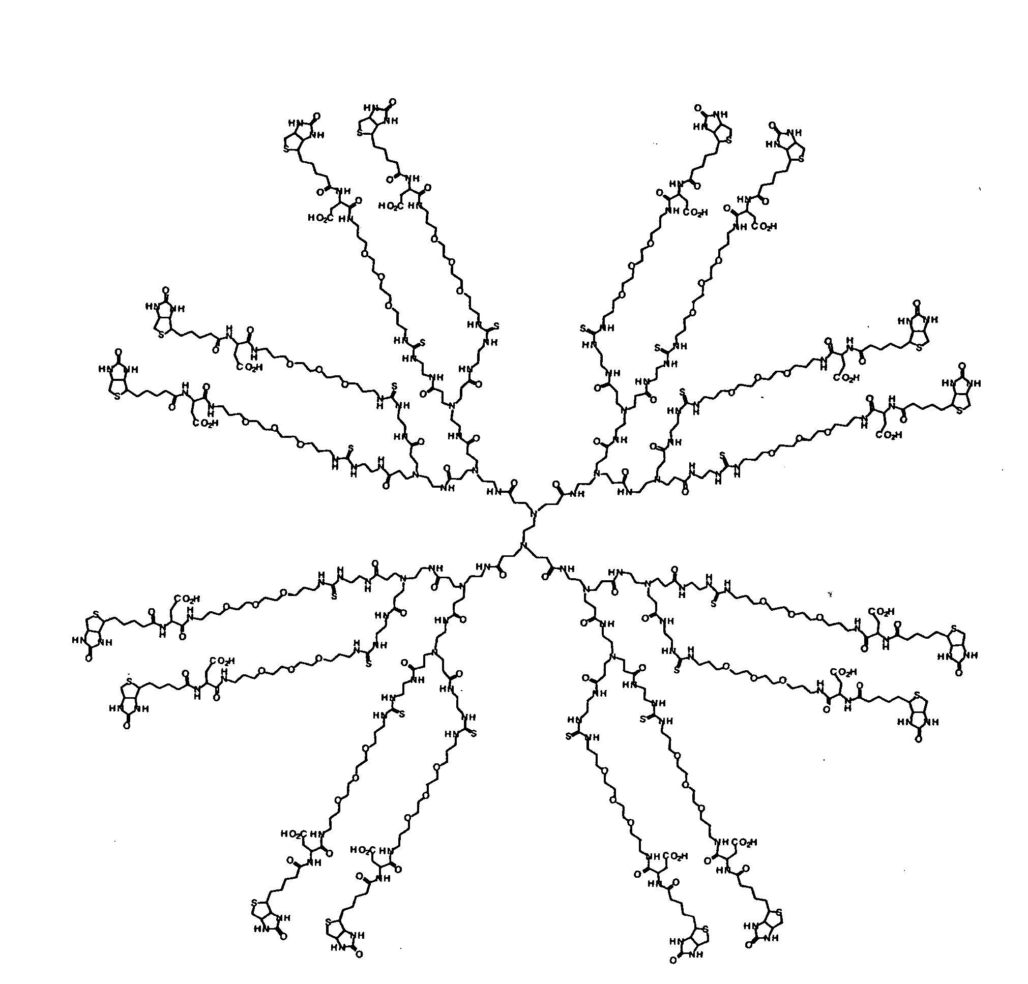 Water soluble multi-biotin-containing compounds