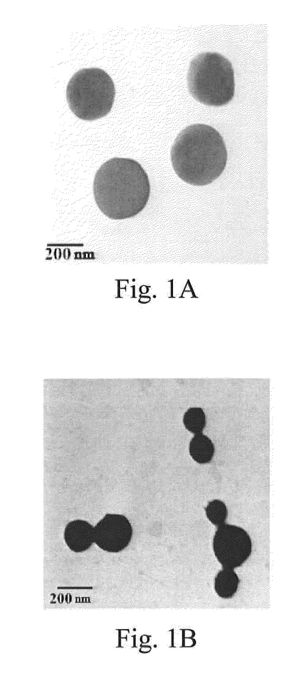 Method for reducing radio-resistance of prostate cancer cells and/or treating prostate cancer