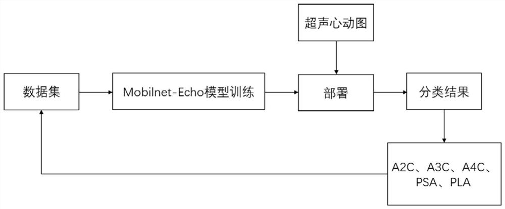 Lightweight echocardiogram standard section identification method and device and medium