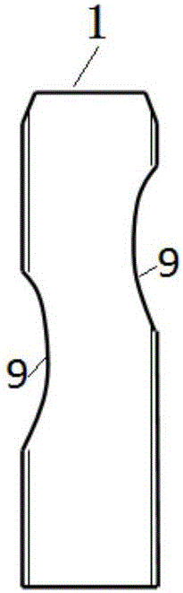 Tracheal bronchus orificium fistula detecting device