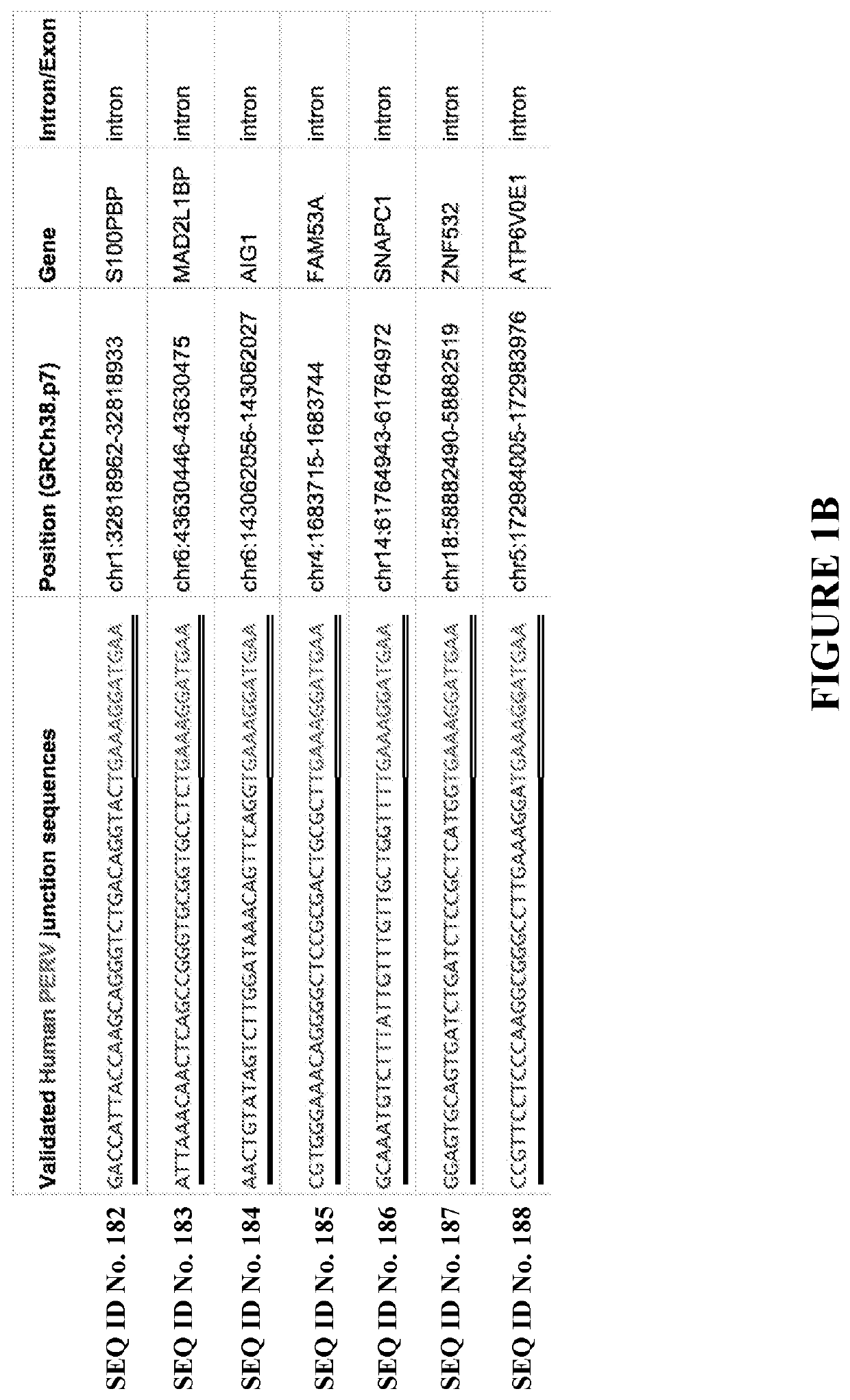 Methods for generating genetically modified animals