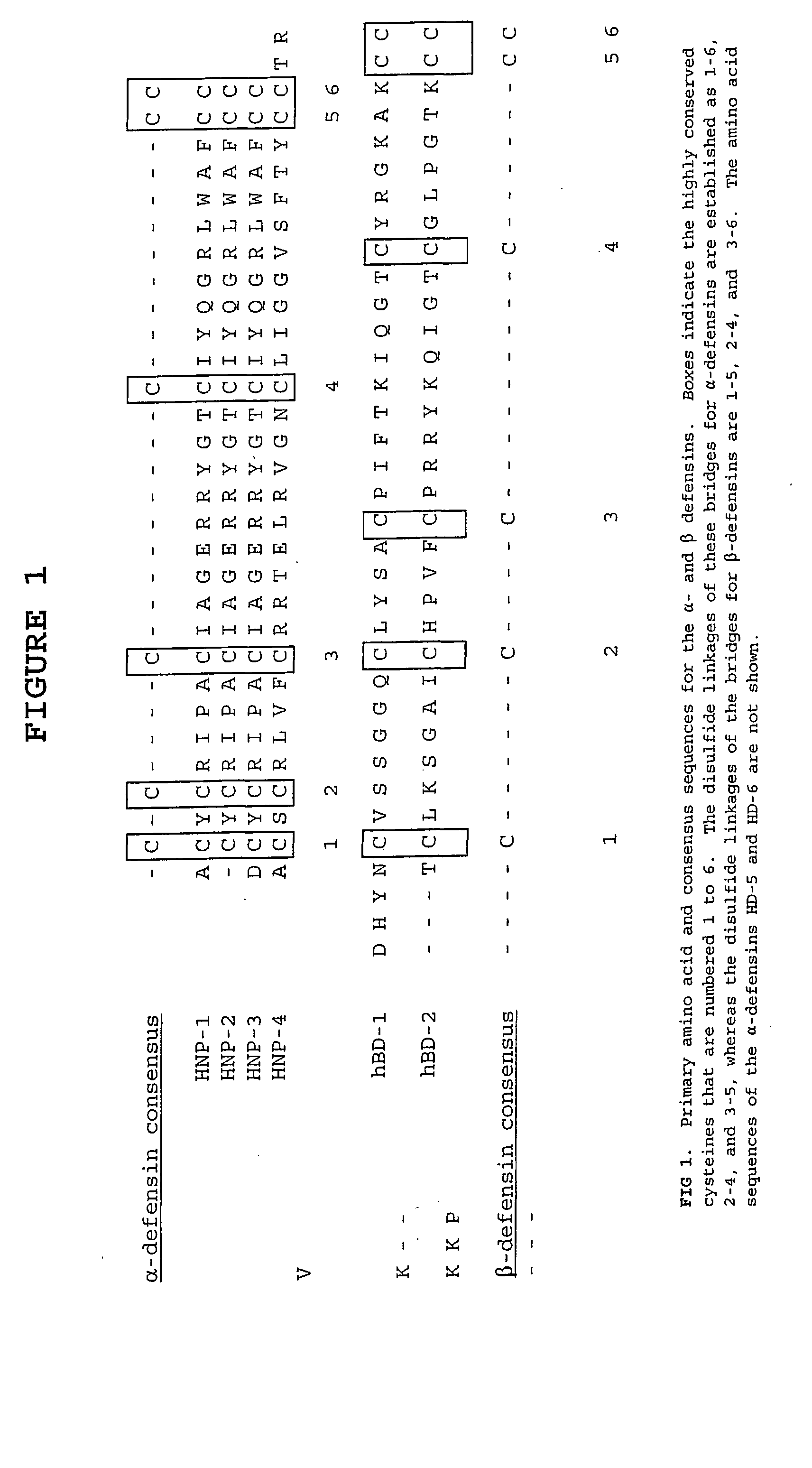 Defensin-antigen fusion proteins