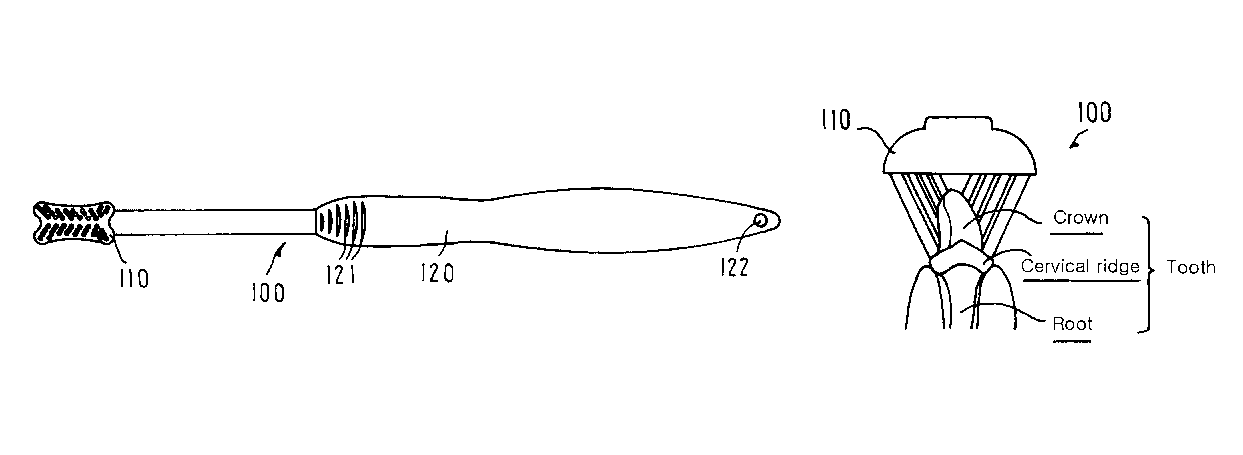 Toothbrush for pet dog