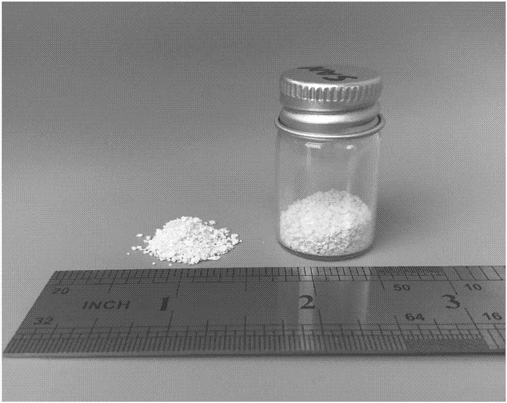 Biphasic calcium phosphate porous bioceramic bone scaffold material and preparation method thereof and application