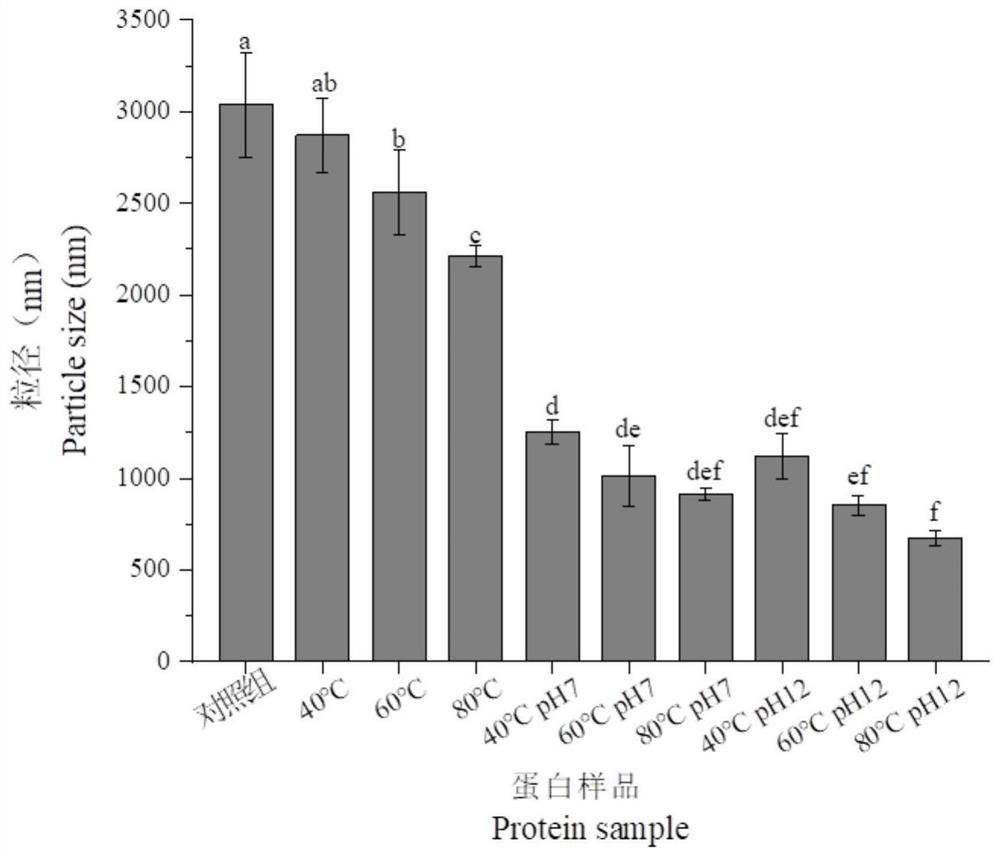 Treatment method and application of gluten protein