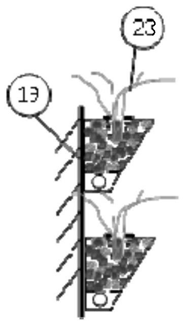 Wall-mounted submerged plant water purification module arranged on hard revetment and application thereof