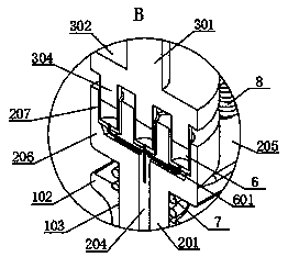 Rapid detection device for pesticide residue