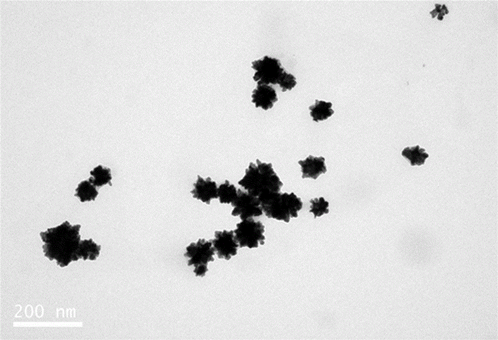 Preparation method of gold nanoflowers for targeting therapy of tumors