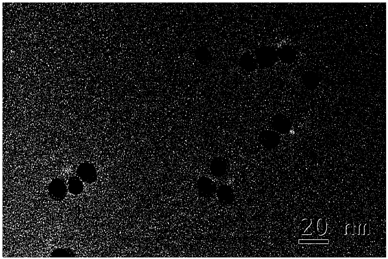 Gold/iron carbide heterogeneous nanometer particle and preparation and application thereof