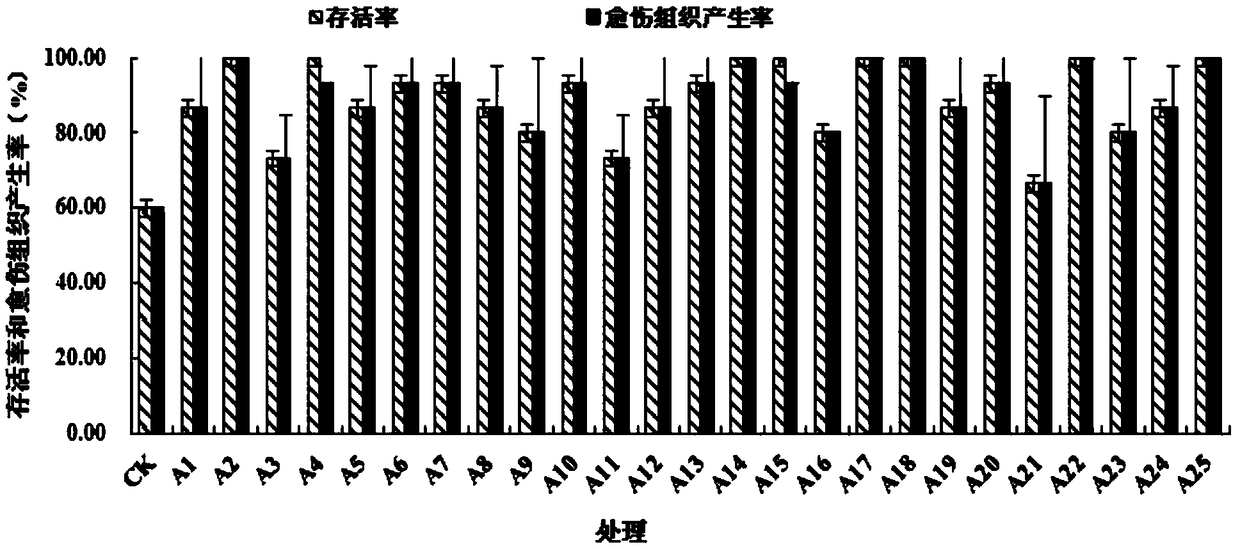 Camellia oleifera rapid rooted seedling cutting seedling method, seedling substrate and rooting agent