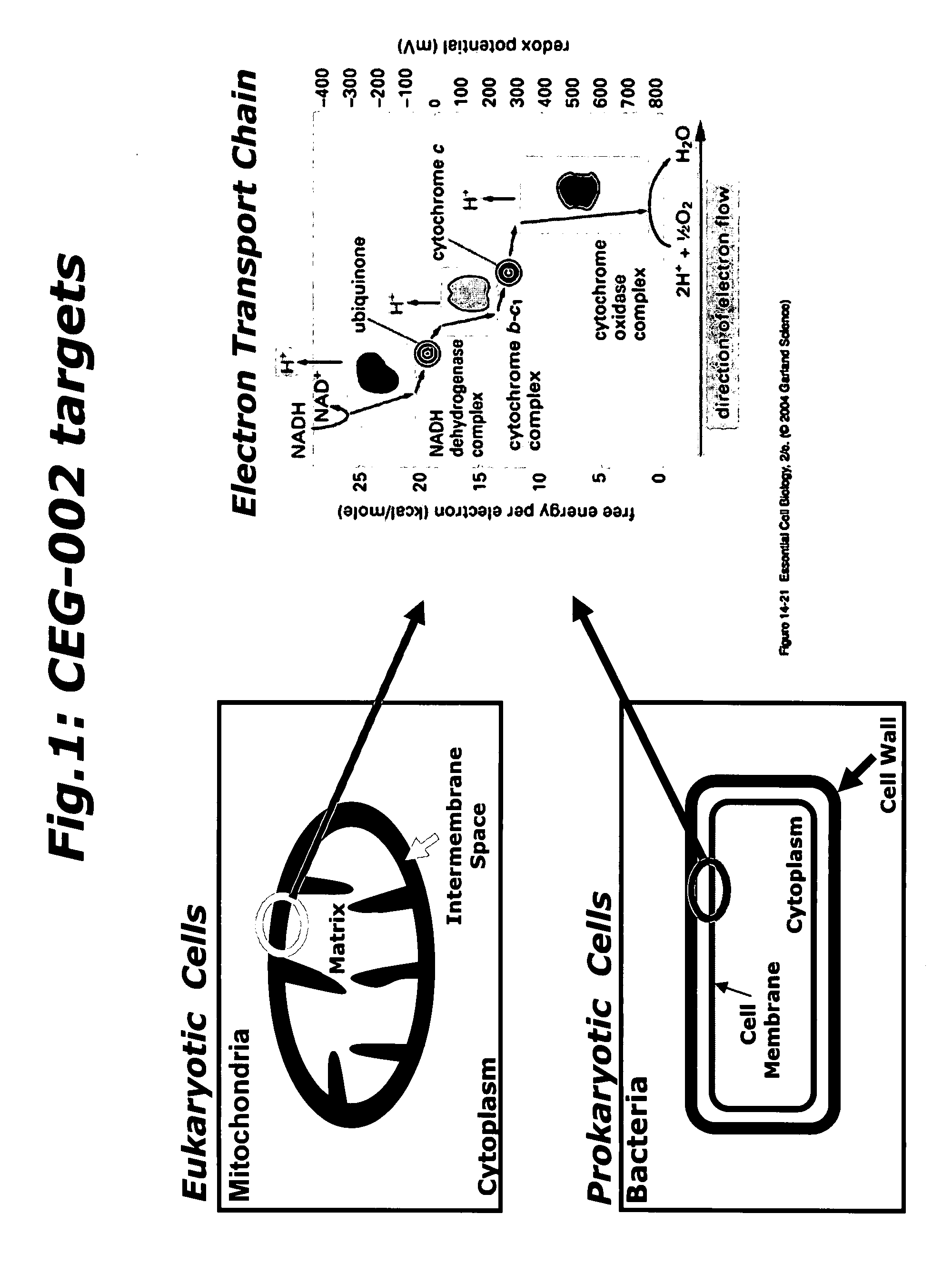 Synergistic compositions useful as cytostatic, bacteriostatic and/or virostatic agents