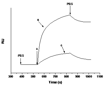 Preparation method and application of 3D chip for screening of traditional Chinese medicine components