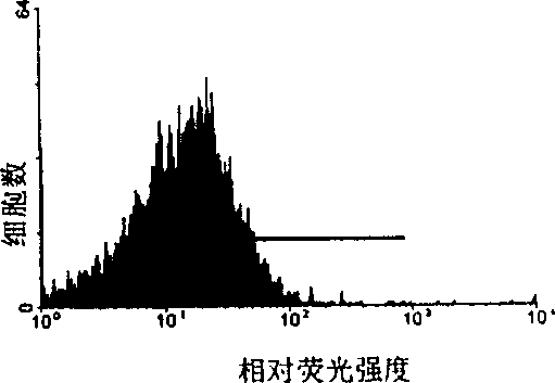 Method for separating mesenchy mall stem/ancestral cells for bone parenchyma