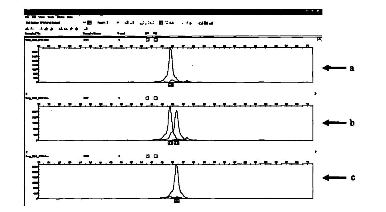 MUC13 gene determining susceptibility/resistance of piglet F4ac diarrhea and application thereof