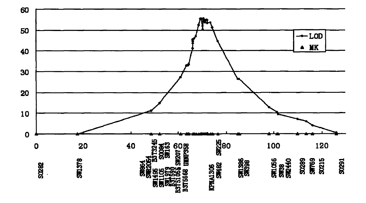 MUC13 gene determining susceptibility/resistance of piglet F4ac diarrhea and application thereof