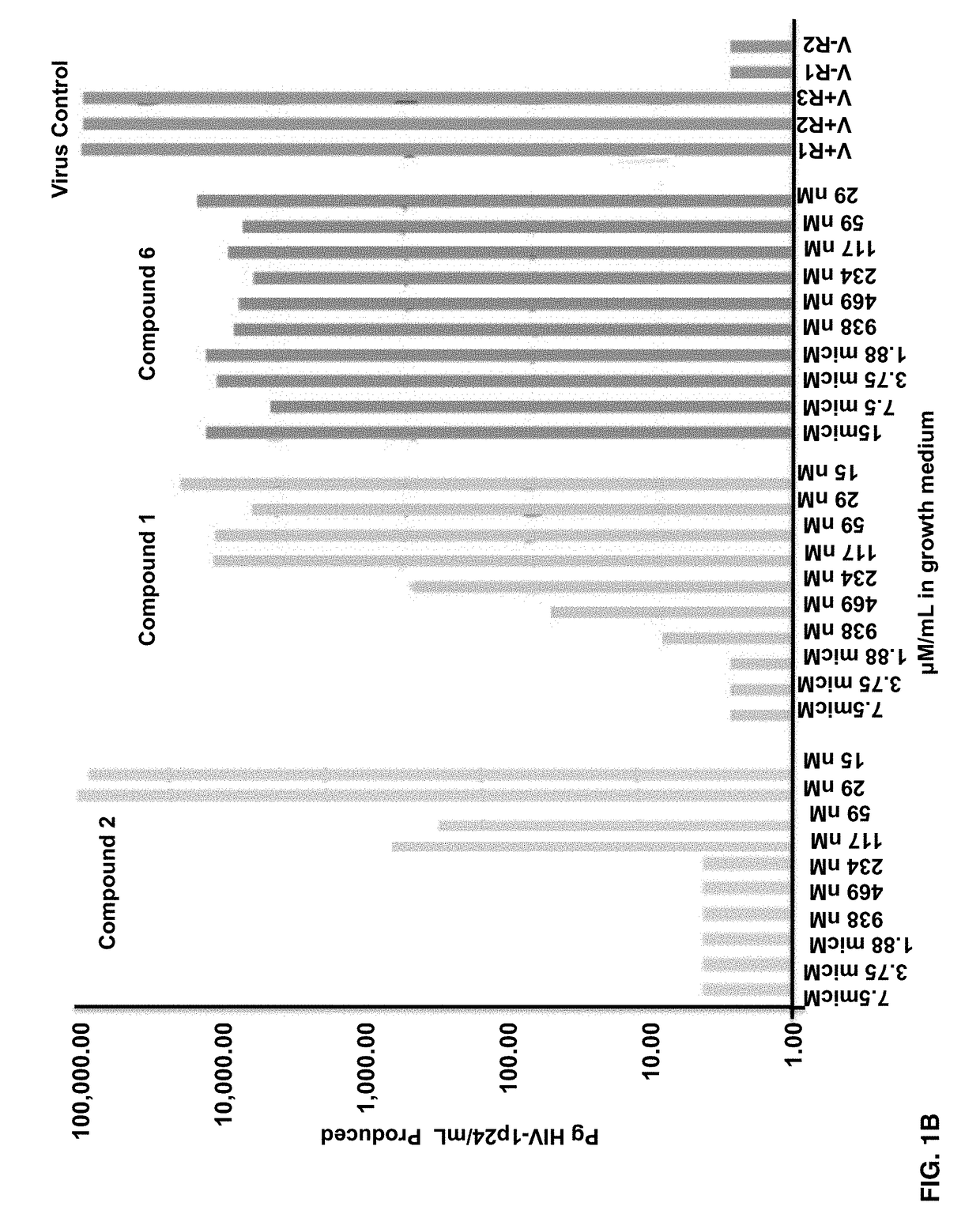 Formulations of Methionine Aminopeptidase Inhibitors for Treating Infectious Diseases