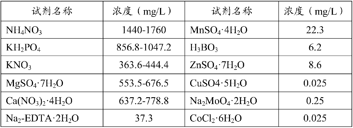 Aerial fog cultivation nutrient solution for breeder's seed of virus-free potato and application method of serial fog cultivation nutrient solution