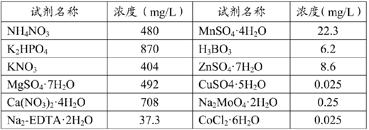 Aerial fog cultivation nutrient solution for breeder's seed of virus-free potato and application method of serial fog cultivation nutrient solution