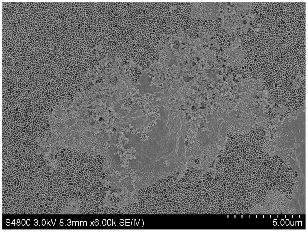 A kind of multifunctional graphene modified non-woven fabric and preparation method thereof