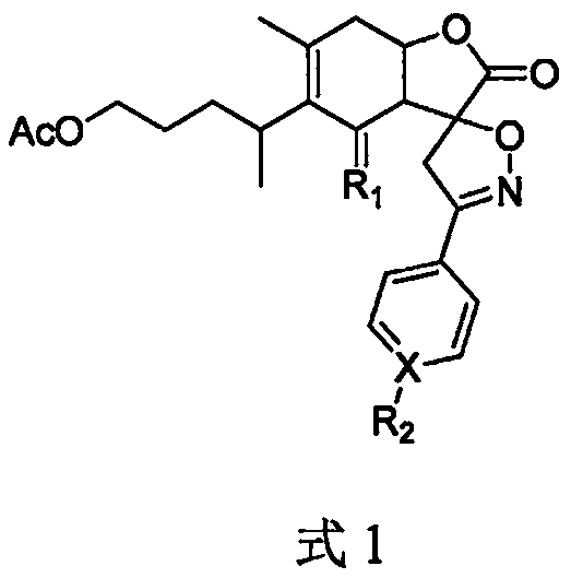 1-o-acetyl inulalide spiroaryl isoxazoline derivatives and their medicinal uses